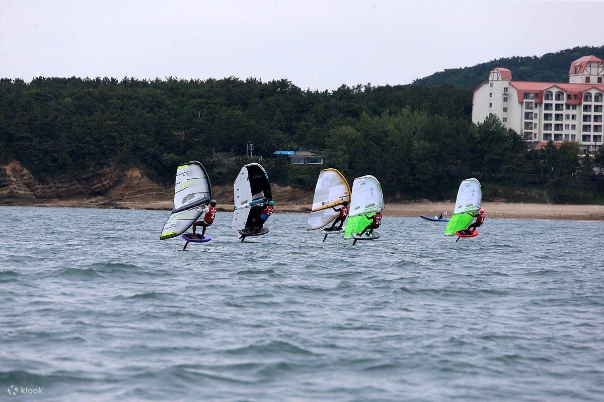 Expérience de surf et d'hydroptère sur la Gold Coast